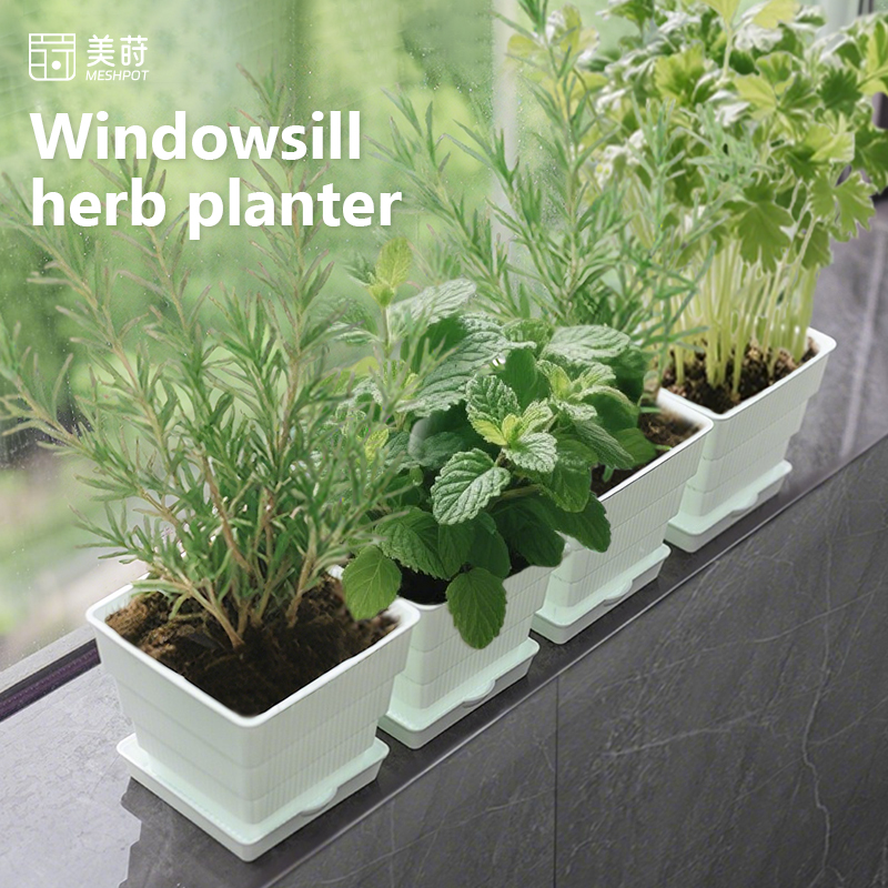 Indoor Herb Garden Kit - Meshpot Windowsill Herb Planter Herb Garden