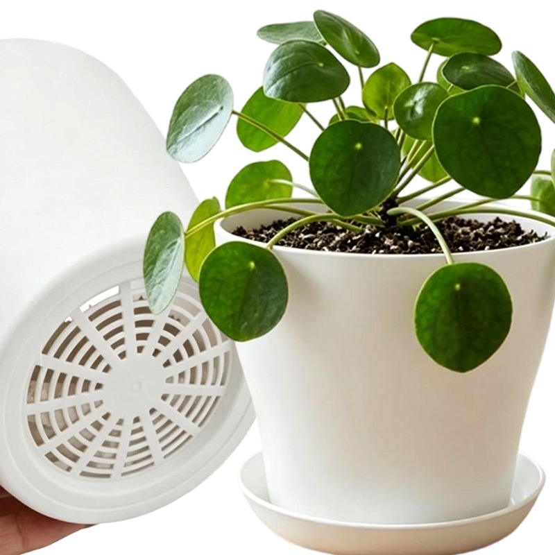 Indoor Herb Garden Kit - ชุดกระถางต้นไม้พร้อมรูระบายน้ำและถาดรอง วัสดุ PP เรซิ่น สีสันสดใส สำหรับปลูกไม้อวบน้ำ