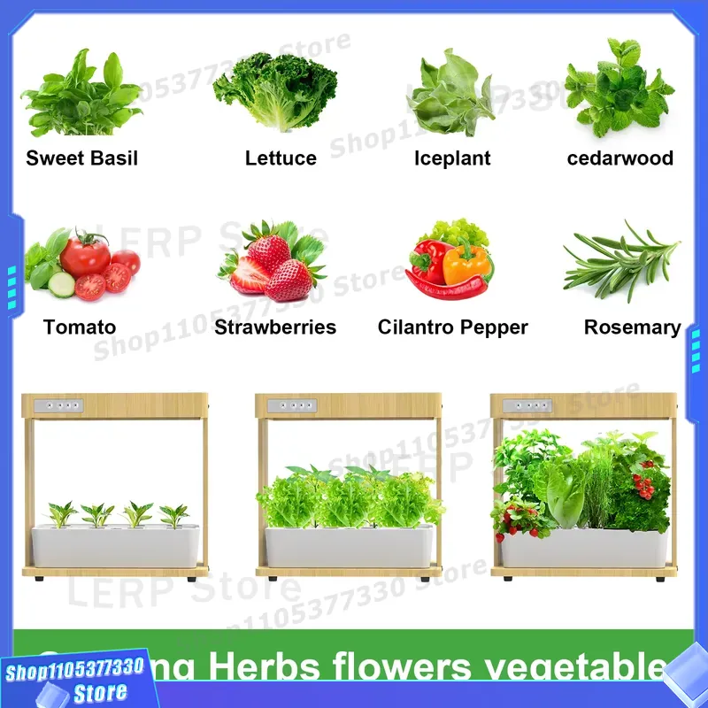 ชุดปลูกผักไฮโดรโปนิกส์อัจฉริยะ - Indoor Herb Garden Kit บทวิจารณ์และราคา