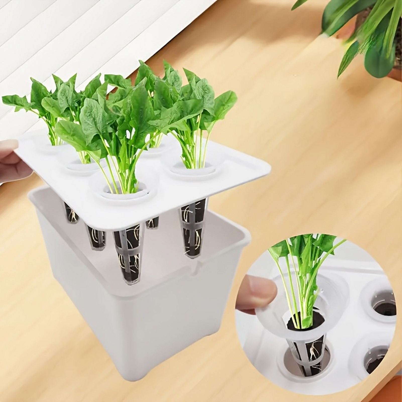 กระถางเพาะชำแบบไฮโดรโปนิกส์ 6  - Indoor Herb Garden Kit บทวิจารณ์และราคา