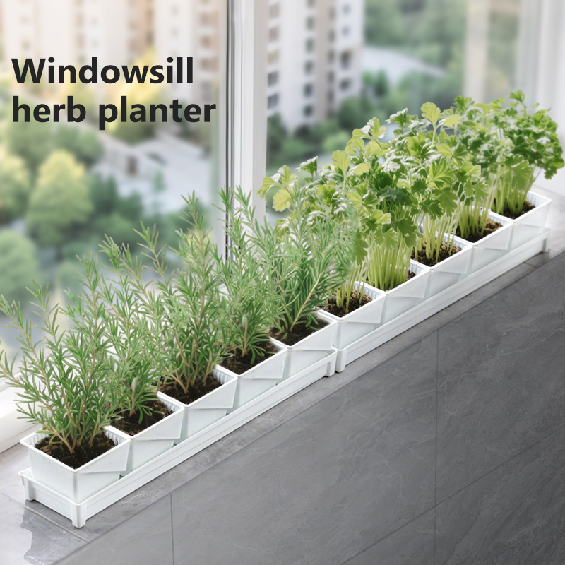Meshpot Windowsill Herb Plante - Indoor Herb Garden Kit บทวิจารณ์และราคา