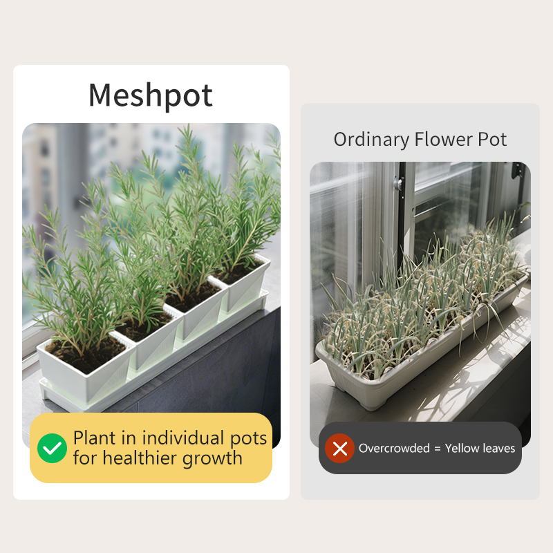 Meshpot Windowsill Herb Plante - Indoor Herb Garden Kit บทวิจารณ์และราคา