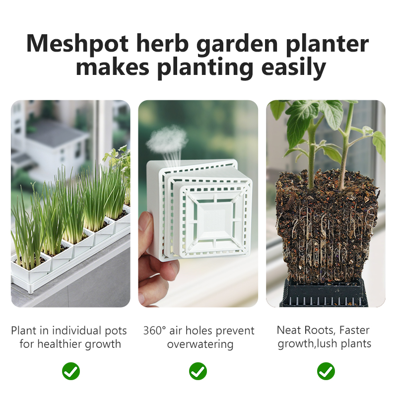 Meshpot Windowsill Herb Plante - Indoor Herb Garden Kit บทวิจารณ์และราคา