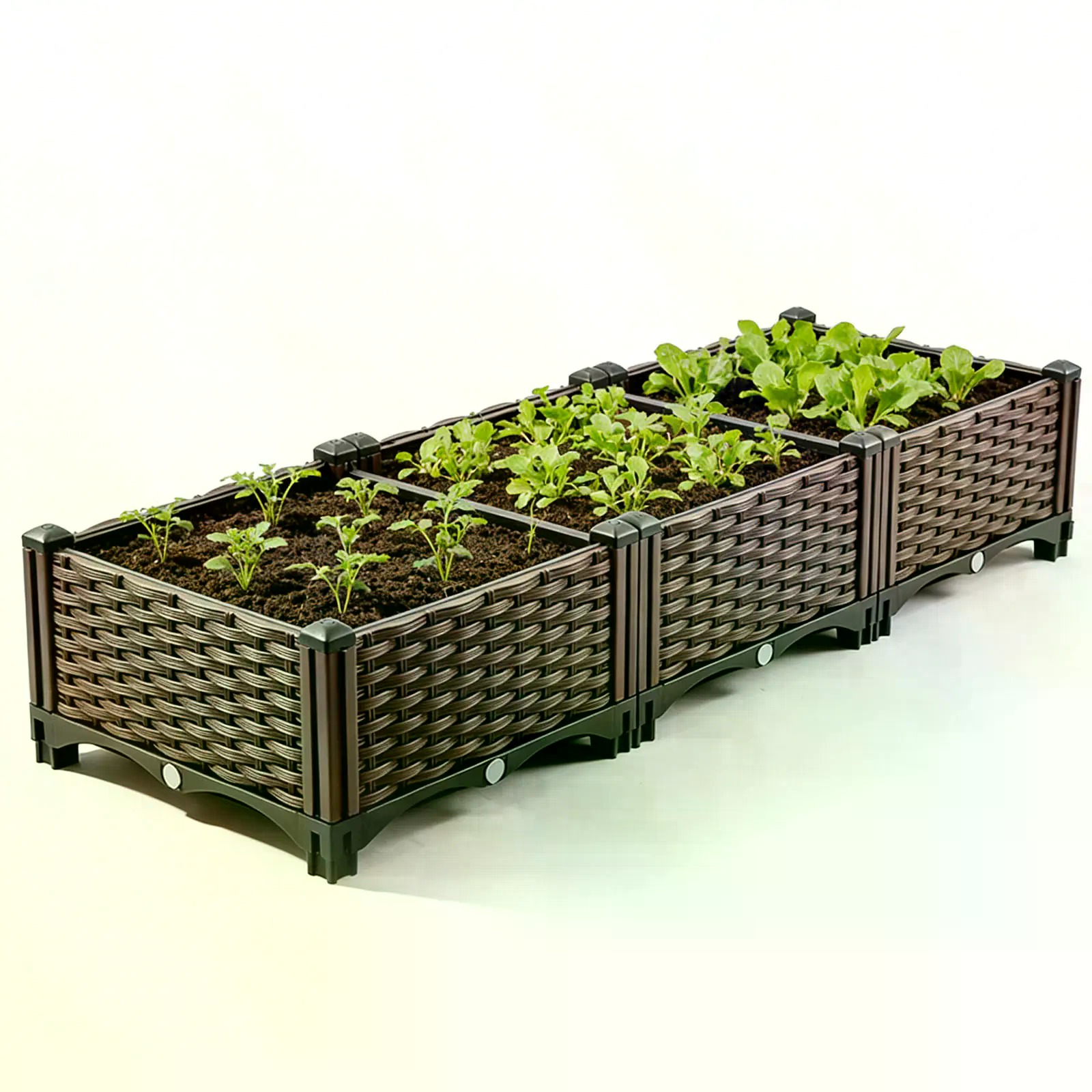 ชุดแปลงปลูกผักทรงสี่เหลี่ยมยกพ - Indoor Herb Garden Kit บทวิจารณ์และราคา