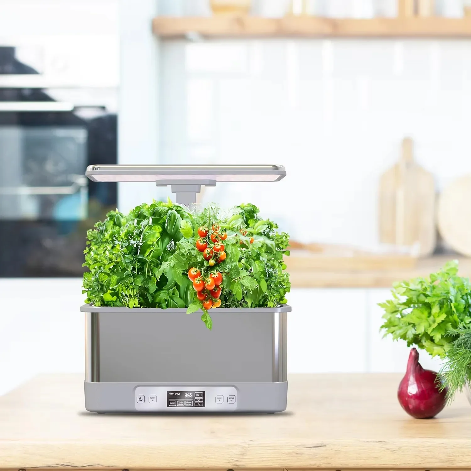 ชุดปลูกพืชในร่มแบบไฮโดรโปนิกส์ - Indoor Herb Garden Kit บทวิจารณ์และราคา