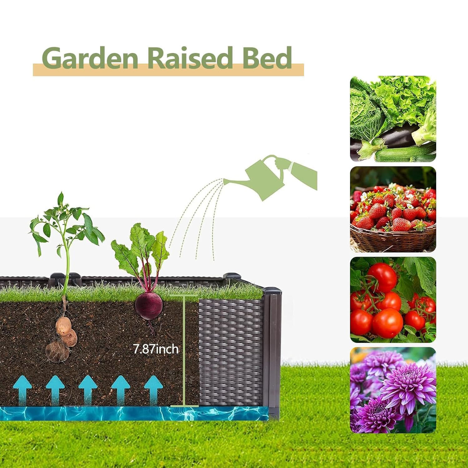 กระบะปลูกผักยกพื้นแบบรดน้ำเอง  - Indoor Herb Garden Kit บทวิจารณ์และราคา