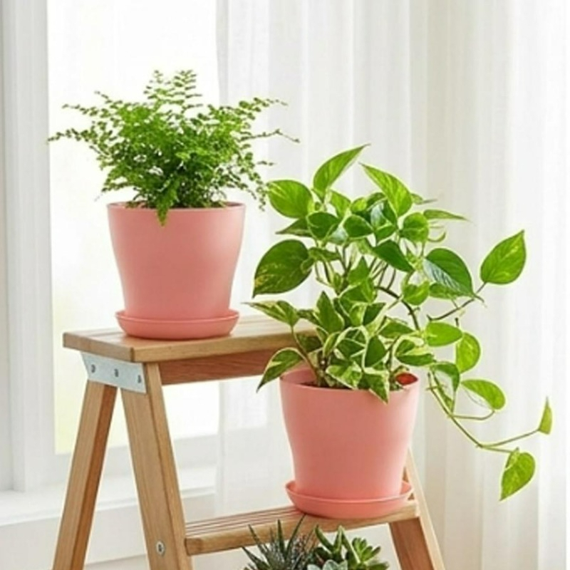 ชุดกระถางต้นไม้พร้อมรูระบายน้ำ - Indoor Herb Garden Kit บทวิจารณ์และราคา